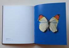 Load image into Gallery viewer, Damien Hirst, Signed and limited edition, 1991