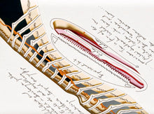 Load image into Gallery viewer, Jorinde Voigt: On Reality, 2023