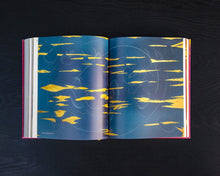 Load image into Gallery viewer, Jorinde Voigt: Immersion, 2019