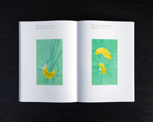 Load image into Gallery viewer, Jorinde Voigt: Now, 2017