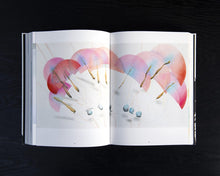 Load image into Gallery viewer, Jorinde Voigt: Shift, 2018