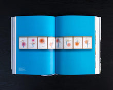 Load image into Gallery viewer, Jorinde Voigt: Shift, 2018