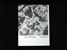 Load image into Gallery viewer, Lisa Oppenheim: Billowing, 2013
