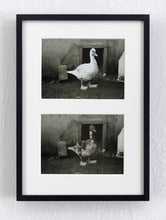 Load image into Gallery viewer, Rosemarie Trockel, "Entenanhänger", 1993