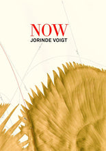 Load image into Gallery viewer, Jorinde Voigt: Now
