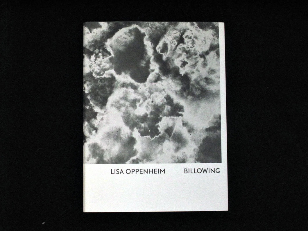 Lisa Oppenheim: Billowing, 2013